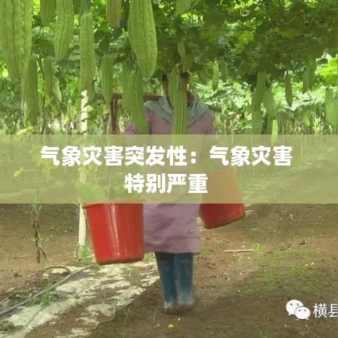 氣象災(zāi)害突發(fā)性：氣象災(zāi)害 特別嚴(yán)重 
