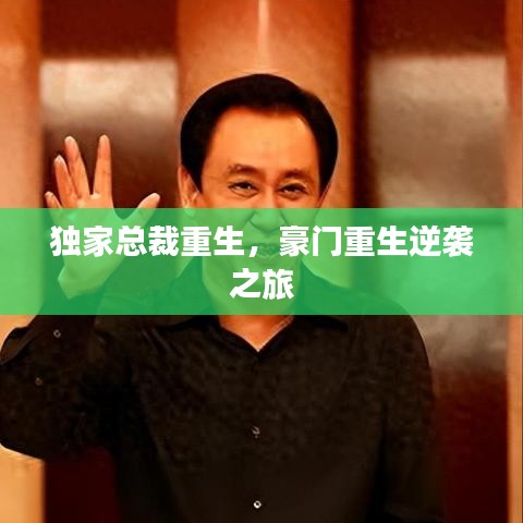 獨(dú)家總裁重生，豪門重生逆襲之旅