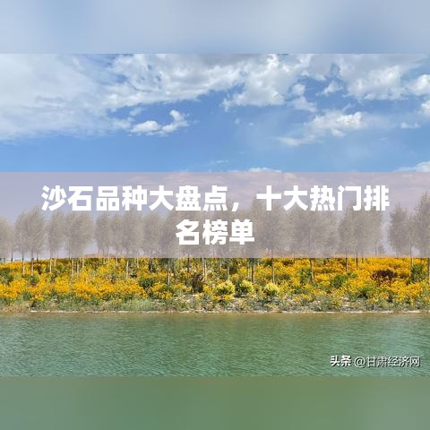 沙石品種大盤點(diǎn)，十大熱門排名榜單