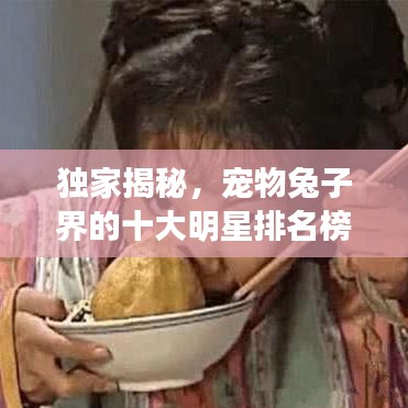 獨家揭秘，寵物兔子界的十大明星排名榜！
