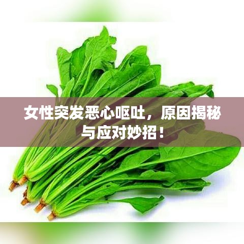 女性突發(fā)惡心嘔吐，原因揭秘與應(yīng)對(duì)妙招！