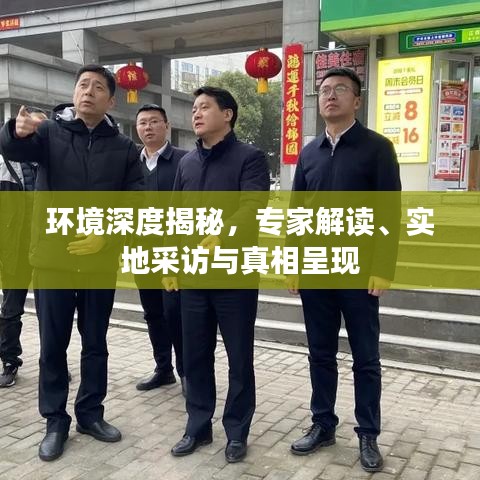 環(huán)境深度揭秘，專家解讀、實(shí)地采訪與真相呈現(xiàn)