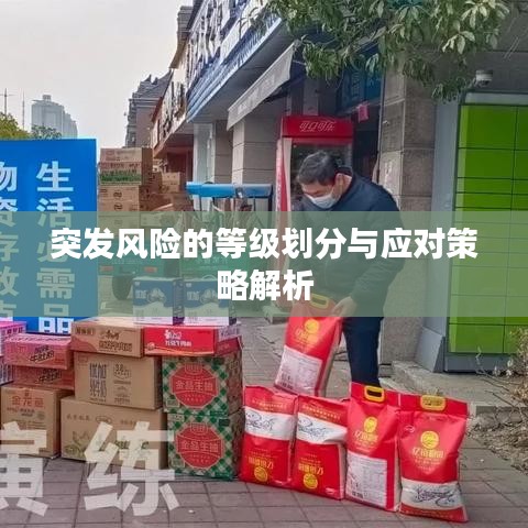 突發(fā)風(fēng)險的等級劃分與應(yīng)對策略解析