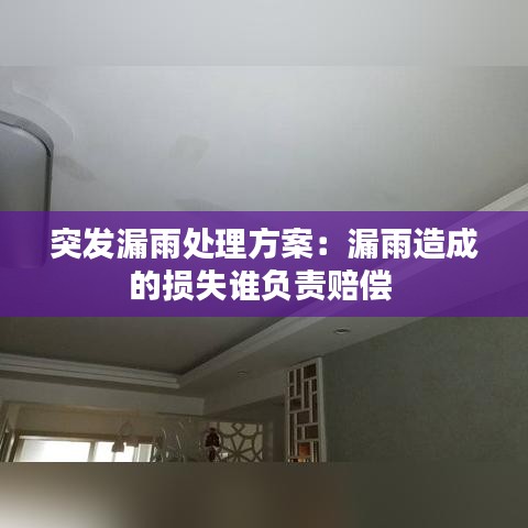 突發(fā)漏雨處理方案：漏雨造成的損失誰負責賠償 
