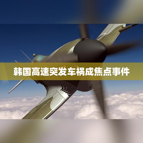 韓國(guó)高速突發(fā)車禍成焦點(diǎn)事件