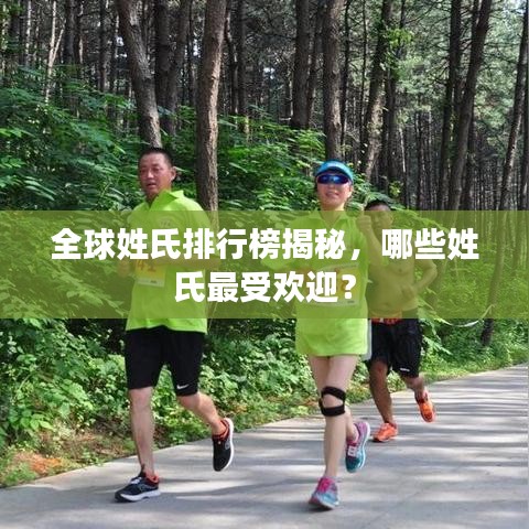 全球姓氏排行榜揭秘，哪些姓氏最受歡迎？