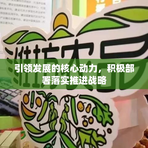 引領(lǐng)發(fā)展的核心動(dòng)力，積極部署落實(shí)推進(jìn)戰(zhàn)略