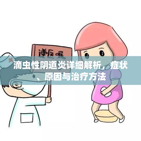 滴蟲性陰道炎詳細(xì)解析，癥狀、原因與治療方法