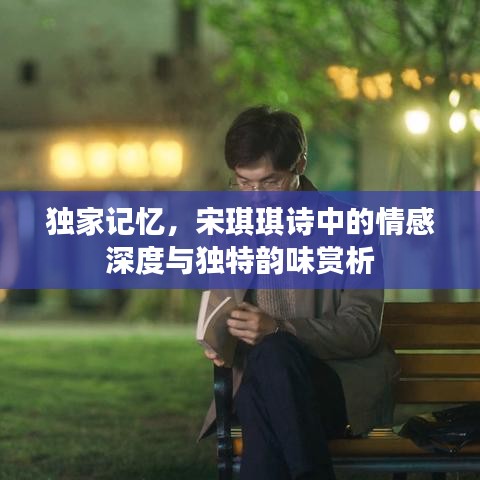 獨(dú)家記憶，宋琪琪詩中的情感深度與獨(dú)特韻味賞析