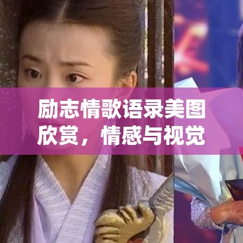 勵志情歌語錄美圖欣賞，情感與視覺的雙重享受