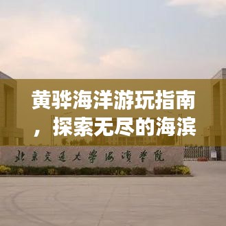 黃驊海洋游玩指南，探索無盡的海濱魅力！