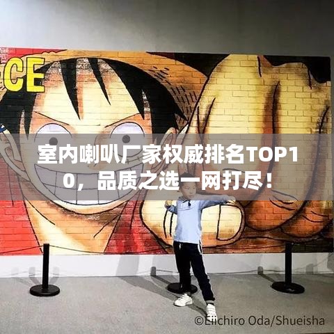 室內(nèi)喇叭廠(chǎng)家權(quán)威排名TOP10，品質(zhì)之選一網(wǎng)打盡！