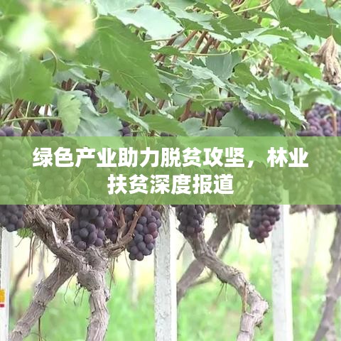 指手畫腳 第3頁