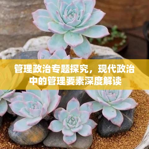 管理政治專題探究，現(xiàn)代政治中的管理要素深度解讀