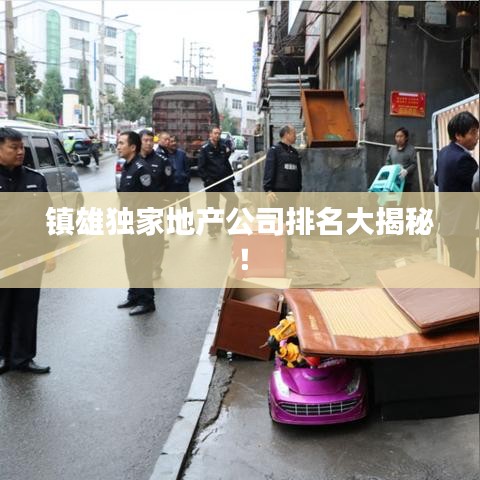 鎮(zhèn)雄獨家地產(chǎn)公司排名大揭秘！