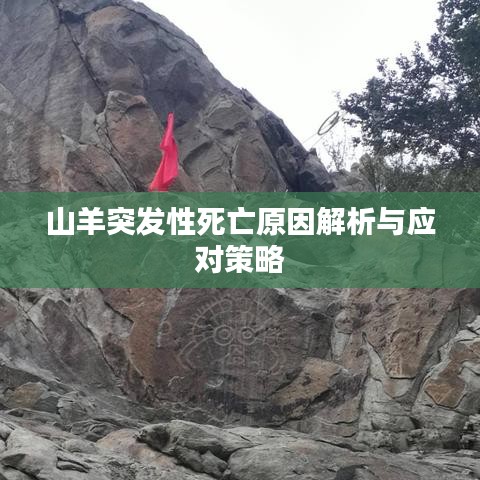 鳥飛兔走 第2頁