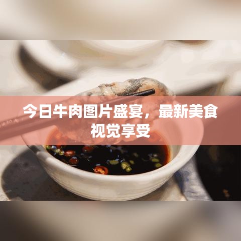 今日牛肉圖片盛宴，最新美食視覺(jué)享受