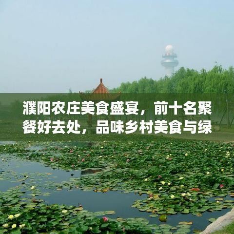 濮陽農(nóng)莊美食盛宴，前十名聚餐好去處，品味鄉(xiāng)村美食與綠意盎然之旅