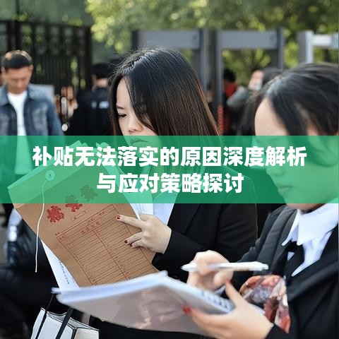 補貼無法落實的原因深度解析與應(yīng)對策略探討