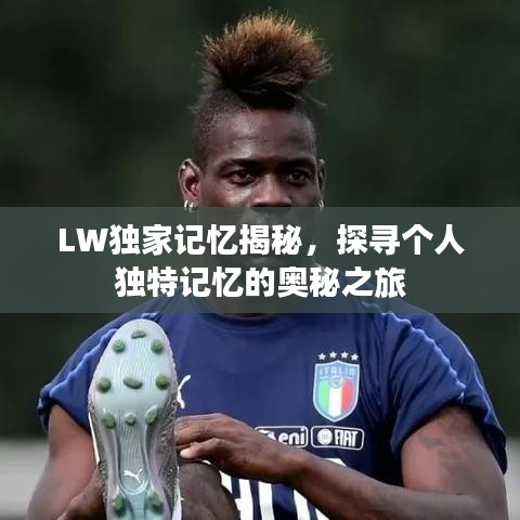 LW獨(dú)家記憶揭秘，探尋個(gè)人獨(dú)特記憶的奧秘之旅