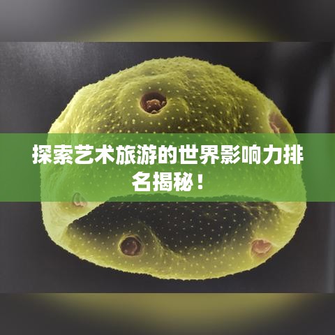 探索藝術(shù)旅游的世界影響力排名揭秘！