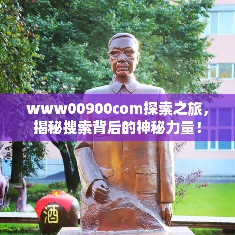 www00900com探索之旅，揭秘搜索背后的神秘力量！