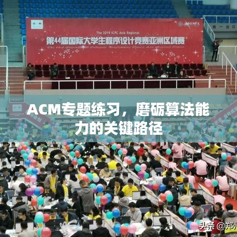 ACM專題練習，磨礪算法能力的關鍵路徑
