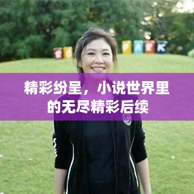 精彩紛呈，小說世界里的無盡精彩后續(xù)
