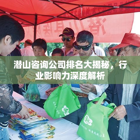 潛山咨詢公司排名大揭秘，行業(yè)影響力深度解析
