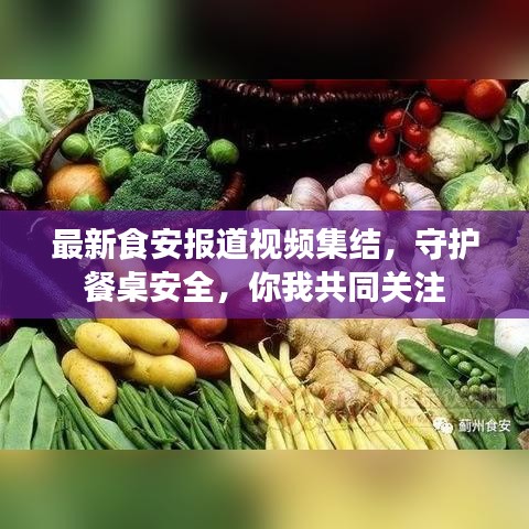 最新食安報道視頻集結(jié)，守護餐桌安全，你我共同關(guān)注