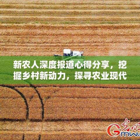 新農(nóng)人深度報(bào)道心得分享，挖掘鄉(xiāng)村新動力，探尋農(nóng)業(yè)現(xiàn)代化之路