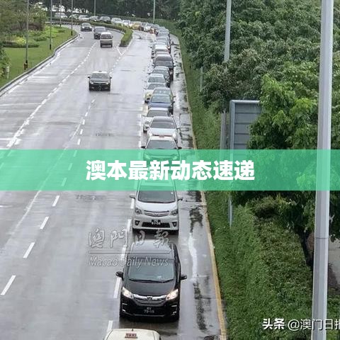 澳本最新動(dòng)態(tài)速遞