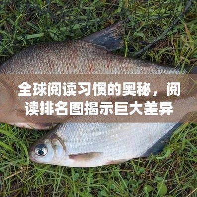 全球閱讀習慣的奧秘，閱讀排名圖揭示巨大差異！