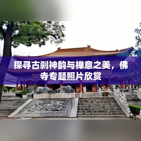 探尋古剎神韻與禪意之美，佛寺專題照片欣賞