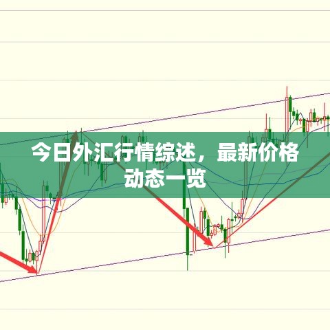 今日外匯行情綜述，最新價格動態(tài)一覽