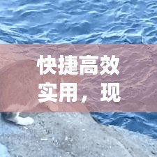 快捷高效實(shí)用，現(xiàn)代生活的首選生活方式