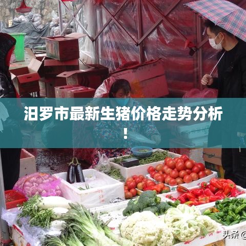 汨羅市最新生豬價格走勢分析！