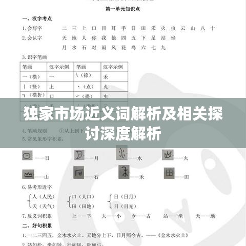 獨(dú)家市場(chǎng)近義詞解析及相關(guān)探討深度解析