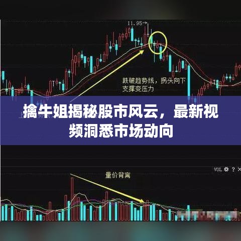 擒牛姐揭秘股市風(fēng)云，最新視頻洞悉市場動(dòng)向