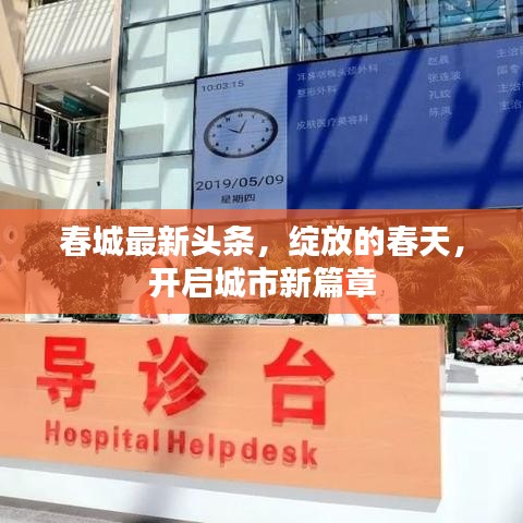 春城最新頭條，綻放的春天，開啟城市新篇章
