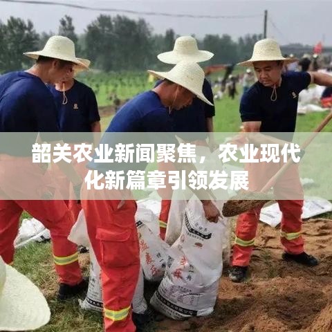韶關(guān)農(nóng)業(yè)新聞聚焦，農(nóng)業(yè)現(xiàn)代化新篇章引領(lǐng)發(fā)展