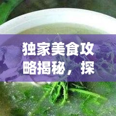 獨(dú)家美食攻略揭秘，探索味蕾盛宴的極致之旅