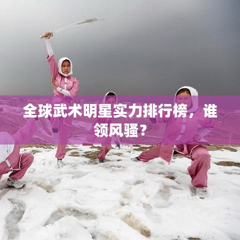 全球武術明星實力排行榜，誰領風騷？