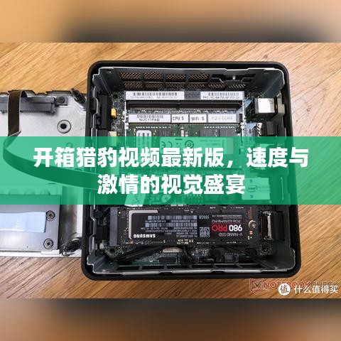 開箱獵豹視頻最新版，速度與激情的視覺盛宴