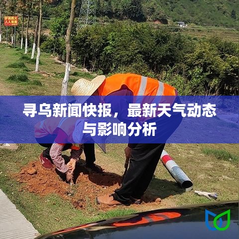 尋烏新聞快報(bào)，最新天氣動(dòng)態(tài)與影響分析