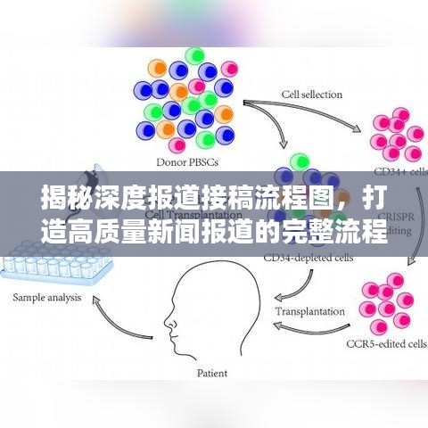 揭秘深度報(bào)道接稿流程圖，打造高質(zhì)量新聞報(bào)道的完整流程揭秘