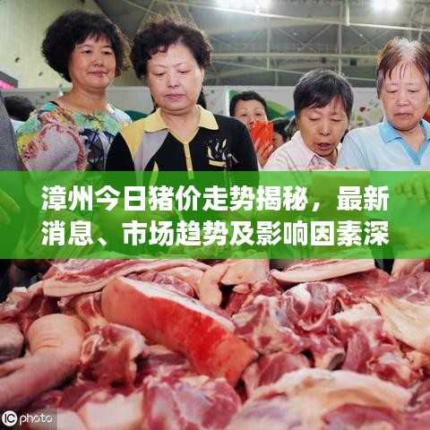 漳州今日豬價(jià)走勢揭秘，最新消息、市場趨勢及影響因素深度解析