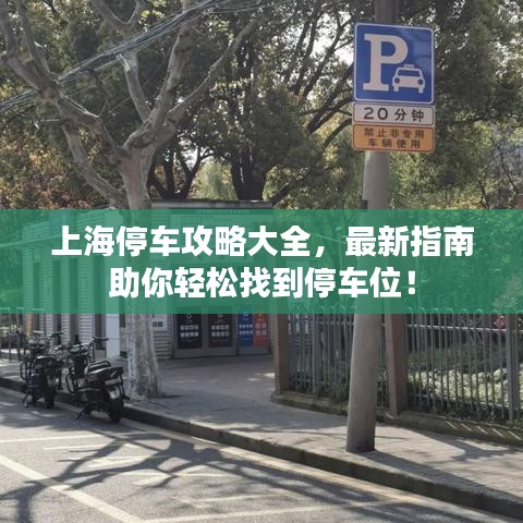 上海停車攻略大全，最新指南助你輕松找到停車位！