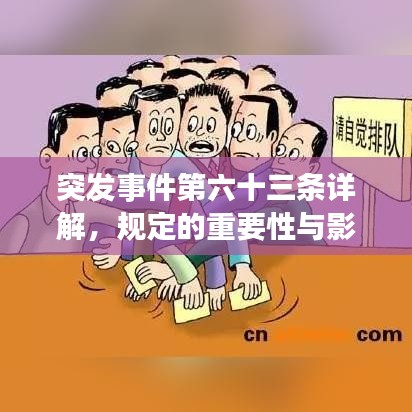 突發(fā)事件第六十三條詳解，規(guī)定的重要性與影響