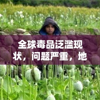 全球毒品泛濫現(xiàn)狀，問題嚴(yán)重，地區(qū)排名與治理挑戰(zhàn)